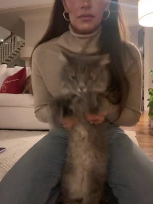 He wasn’t having it 😂 #dancechallenge #dancingcat #catsoftiktok 