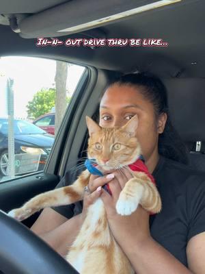 Sevvy and I be getting down in the drive thru 😆 #seventheorangecat #pupcup #catadventures #cats #orangekitten 