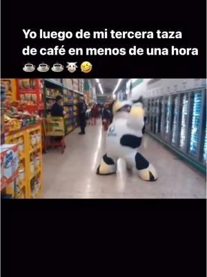 LA VACA MU 🐮🐄 // 🎥: TT: viniciusjr20.mob⁠ #vacamulo #vacabailando #toluca #jajaja #CowAppreciationPost #lavacamu #lavaca #merengue #malafe #soextra #cafecito #cafe #cafeina #buenosdias #morning #morningbelike #latinosenusa 