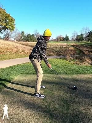 Birdie! #pga #golfing #golfer #golftips #foryoupage #tik #impact #push #pgagolfer #fallgolf