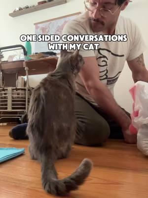 One sided conversations with my cat #chattycat #cat #cutecat #dilutetortie #catdad #funnycat #foryoupage #talkativecat 