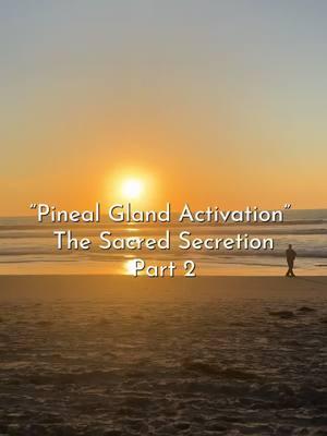 Two must read books on this topic are: “The Sacred Secretion” by Kelly Marie Kerr & “God-Man The Word made flesh” by George W. Carey ~Visit www.aliaherbals.com for more details on our shop’s offerings🌿 #Christconsciousness #alkaline #kundalini #kundaliniawakening #spiritualawakening #spiritualjourney #plantbased #fyp #foryou #chrismoil 