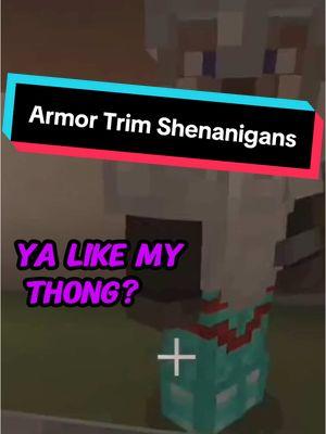 Armor trim shenanigans #minecraftfunny #minecraftsus #fyp #viral #femboyvtuber #sprigganvtuber #gaming #cutevtuber