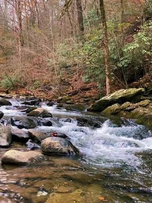 #appalachia #peacefulplace #ladymay #warrenzeiders #woods #creekwater #nature #tylerchilders #nature #Hiking 