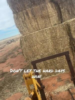 Hauling hay to start this awkwardly long weekend. #farmtok #jessary❤ #westwesttexas #fypシ゚viral #merrychristmas #haygrazer #sorghamsudan #haulinghay #jicase #johndeere 