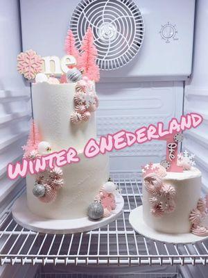 It’s a Winter ONEderland 🩷❄️ #FrontPaigeTreatsLLC #PaigesKitchen #NashvilleBakery #Bakery #WinterONEderland #SmashCake #Buttercream #TieredCake  