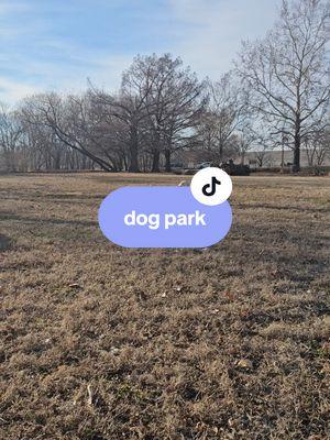 this time didn't go nearly as well as last time but we'll try again! we did get a bit unlucky with the other dog just leaving as this park is generally pretty unused!  #dog #dogs #dogsoftiktok #dogtok #dogcommunity #bullymutt #reactivedog 