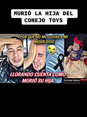 Murió la hija del conejo toys #elconejotoys #lostoys #markitostoys 