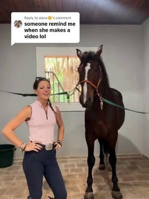 Replying to @siena🌞  grooming and tacking routine with Cerezo! I hooe this is helpful🤩🖤 #ancientartsdressage #eckequestrian #dressagehorses #equestrianluxury #dressagerider #EQ #dressage #equestrianlife #equestriantraining #dressagetraining #classicaldressage #horsesofinstagram #horseriding #horsepower #horse #spain #stallion  #queen 