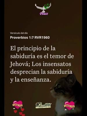 Proverbios 1:7 RVR1960 #versiculodeldia #labibliaapp #amor #fe #jesus #fuegodelespiritusanto 