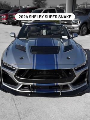 2024 Shelby Super Snake Mustang! 🐍 #shelby #shelbyamerican #shelbysupersnake #2024mustang #s650mustang #mustangs650 #v8supercars #whipple 