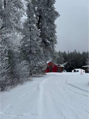 The most peaceful place. #minnesota #mn #mnwinter #frosty #snowedin #cozy 