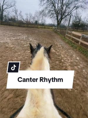 Beauty is slow haha! #canter #rhythm 