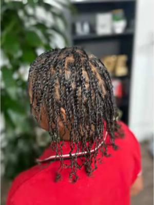 Starter locs ‼️ Suspect requested 2 strand twist to start. I personally like comb coils but they both work just fine.  Stay tuned during this loc journey 🥰 #nlovewdonjane #donn #explorepage✨ #fyp #foryoupage #fypシ #Foryou #locs #starterlocs 