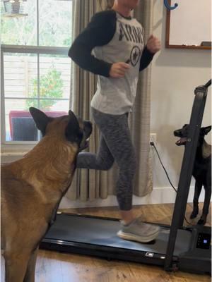 2-1 Walking Treadmill #dogmom #treadmil #exerciseathome #loveit 