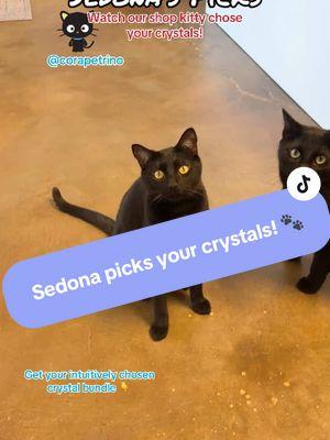 ✨ Sedona, our shop kitty, just curated the perfect bundle for Cora Pertrino! These crystals bring stability, healing, and a boost of love. Plus, she added a Strawberry Quartz Kitty Carving for some extra paw-sitive energy and playful charm! 💖🐾 #SedonaTheShopKitty #HealingVibes #CrystalMagic #CrystalsForHealing #UniqueBundles #AZStoneCo #crystals #crystalcollection #catsoftiktok #TikTokShop 