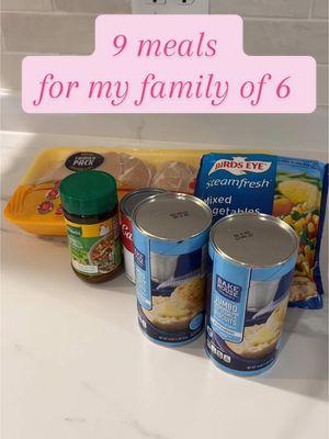 9 meals for my family of 6 for the next week and a half! #weeklymeals #mealplan #familyof6 #meals #aldimeals 