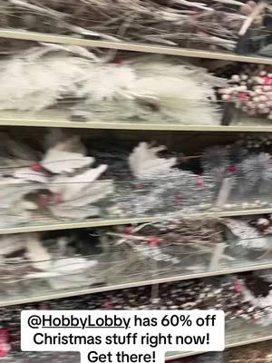 #creatorsearchinsights #fyp #fypシ #fypシ゚viral #fypage #fyppppppppppppppppppppppp #hobbylobby #hobbylobbyfinds #hobbylobbyhaul #hobbylobbydecor #hobbylobbychristmas #christmasdecor #ornaments #christmascountdown #christmastiktok 