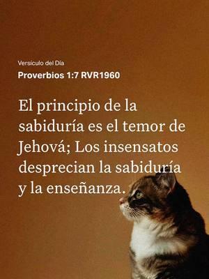 VERSÍCULO DEL DÍA  PROVERBIOS 1;7 #fe #jesusteama #jesus #dios #jehova #cristo #tiktokercristianos #versiculosbiblicos 