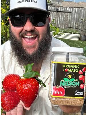 Feeding 150 Strawberry Plants in 30 Seconds! #strawberry #strawberries #strawberryplant #texasgarden #garden #gardentips #texasgardenguy @Nelson Plant Food @Poncho 