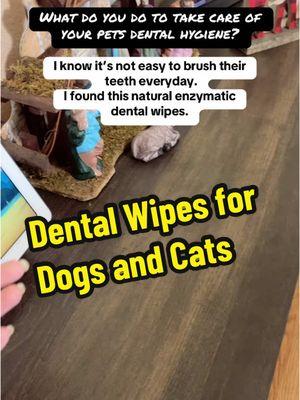 Try this Dental Cleaning Wipes for Your pets @PICEPET #dogsoftiktok #dogsdentalhygiene #catsdentalcare #dentalwipesforpets 