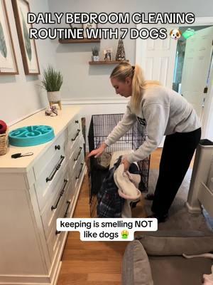 30 minutes of extra work is worth it to have our babies with us 🐶🧼 #CleanTok #cleaningtiktok #dogtok #dogmom #dogmomsoftiktok #cleaninghacks #cleaningtips #dogparent #dogparentsoftiktok #doghair #dogmomlife #DailyRoutine #rescuelife 