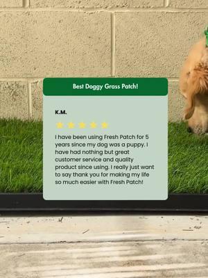 We 💚 making dog and dog owner’s lives better one patch at a time. #FreshPatch #dogparents 