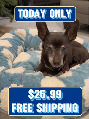 Today only, 35% off only $25.99 with free shipping for the best dog bed! This bed is so fluffy and soft that it works great for dog arthritis! My 17 year old chihuahua loves this bed! #chihuahua #dogbed #cutepet #puppytok #puppies #donutbed #doglife #TikTokShop #spotlightfinds #lesurepet #seniordogsoftiktok #CapCut 