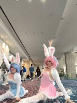 We will never let sturdy go @Usagi Island #cosplaygirl #cosplay #cosplaygirlsoftiktok #cosplaydance #fyppppppppppppppppppppppp #awa #rezero #rezeroram #rezerorem #rem #ram #remandram #ramcosplay #remandram #bunnygirlcosplay #remcosplay #sturdy #sturdydance 