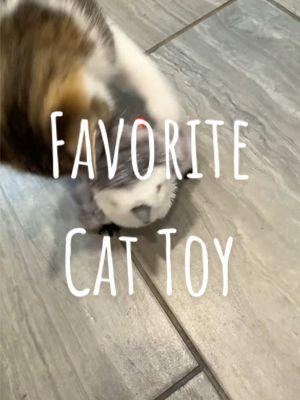 Cats favorite toy! #cats #catsoftiktok #straycats #streetcats #feedingstraycats #catlovers #catrescue #adoptdontshop #catcommunity #rescuedcats #straycatsofinstagram #meow #catcare #catlife #cutecats #fostercats #catsinneed #savecats #kittenrescue #catsofinstagram #spotlightfinds #m#ttstakeover #ttsdelight #giftguide #tiktokshopholidayhaul #newyearnewaura