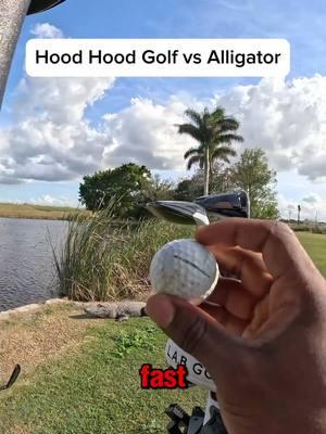 Hood Hood Golf vs Alligator Pt. 2 🐊🏌🏾 @yabbadagolfer  • • • Real Golfer Nie ______________ #golf #golftok #alligator #hoodhoodgolf #fyp 