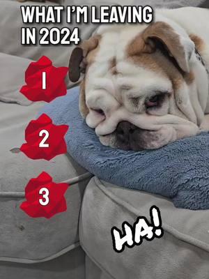 #2024 #leavebehind #squishy #bulldog #Love #funny 