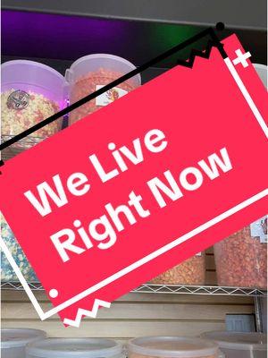 We Live for A Hour🫶🏽 Order and Recieve a Free Bag🍿 Let’s Gooooo…… #popcorn #snacks #shoplive #TikTokShop #arizona #aroundtheworld #worldwide #Love #supportsmallbusiness #fypシ #giftideas #gourmetpopcorn #downtownphoenix #holiday #christmas #cheesy #fresh #live 