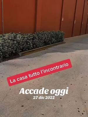 #accadeoggi 