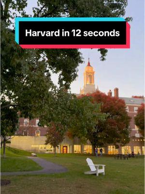 Harvard in 2024 🎥  #Harvard #HarvardUniversity #Boston #Cambridge #College #University #Student #StudentLife #Snapshot #2024 #EndOfYear