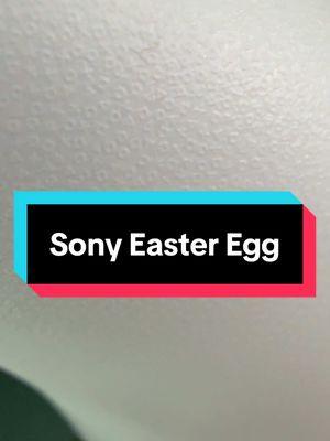 Nice Easter Egg @Sony  #gaming #controller #igageit #sony 