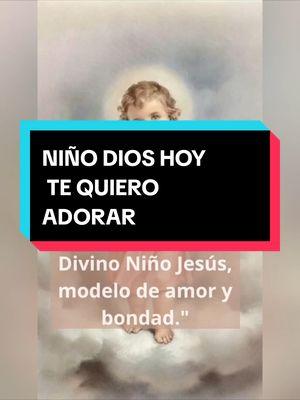 DIVINO NIÑO DIOS MIRA LA PEQUEÑEZ DE MI Y DERRAMA TÚ AMOR #CapCut #catolicosoy #catolicasoy #alygy_lavozdeldesierto #ejercitomariano #biblia #catholictiktok #catolicaporconvicción 