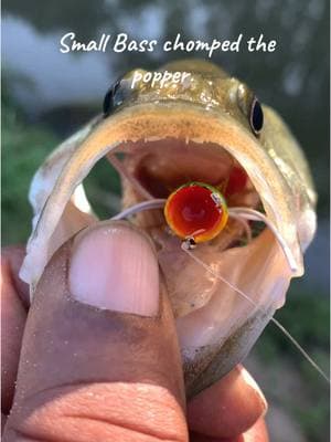 Ever now and then I’ll get out and go #flyfishing #nocap #jerseyboy in a Texas 