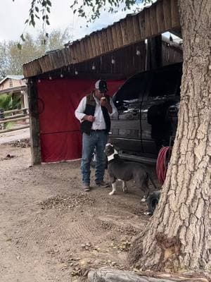 No tienes un pedacito de queso ? 🧀 #viralllllll #doglover #fyp #americanbully #happydog #pupylove #paratiiiiiiiiiiiiiiiiiiiiiiiiiiiiiii #dogbully #queso #pedacitodequeso #hijoperruno #abuelo 