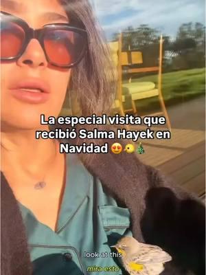 Awwwww 😍y le hizo popo 😅//🎥: Salma Hayek #birdlovers #birdlover #birdlove #birdlover🦜 #salma #salmahayek #salmahayekedit #latina #christmas #merrychristmas #navidad #feliznavidad #latinosenusa #mexican 