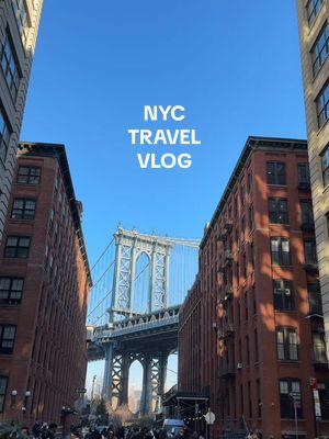 day in my life visiting NYC 🤎 dumbo, diamond district & a delicious dinner 🫶🏼 #dailyvlog #nycvlog #diamonddistrictnyc #dayinmylife #auchevalnyc 