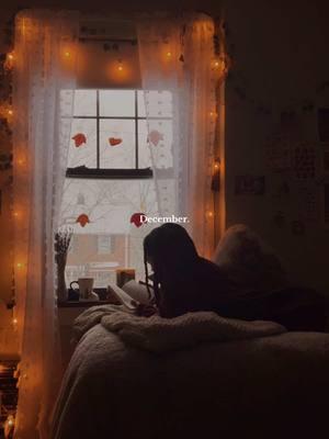 A year in the life through my window 🪟🌲🕯️🫶🏽 #cozylife #cozyhome #cozybedroom #homebodylife #homebodythings #ayearinthelife #throughmywindow #readingtime 