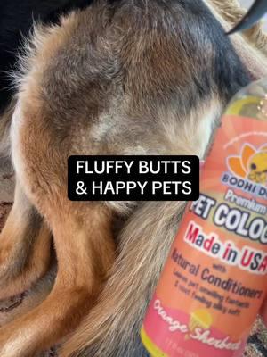 Perfect pet cologne to get for your furry friends  ##PetCologne##FreshAndFurry##SmellingPawsome##PetFragranceLove##HappyTails##FurFreshness##PamperedPetsLife##SoftScentedPaws##PetFreshSpray##LuxuryForPets##SweetScentedCompanions##FluffyAndFresh##PetEssentialsCare##FreshPawsLife##TikTokShopPets