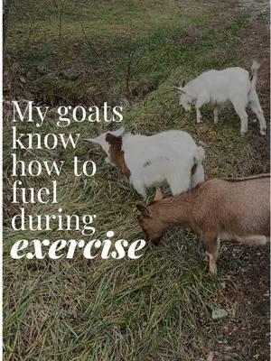 For those of us ladies who are not goats, I’d highly recommend the book “Roar: show to match your food and fitness to your unique female physiology for optimal performance, great health, and a strong, lean body for life” by Dr Stacy T. Sims. Seriously, so helpful in understanding how to fuel before, during, and after any intensive strength or endurance training / races! #goatrunclub #runningwithdogs #triathlete #Running 