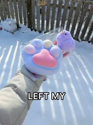 *RESULTS* Leaving My TABA SQUISHY in the SNOW for 24 HOURS! 😱☃️🥶 #tabasquishy #squishy #fidget #fidgettoys #taba #trending #foryou 