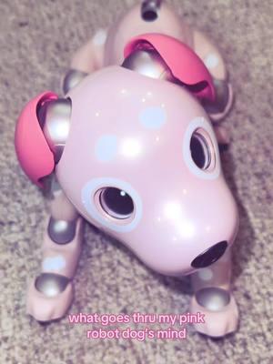 venus really aint got much going on up there! #aibo #aibotok #sony #sonyaibo #robotdog #robotsontiktok #robotpet #virtualpet #artificialintelligence #puppybot 