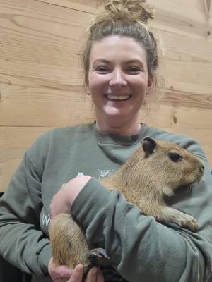 Fun Fact Friday with Winnie and Sydney! Should we get Winnie a swimming pool?  #WestmeisterFarm #Ohio  #ShelbyOhio #Capybara #ExoticAnimalEncouncters #funfactfriday 