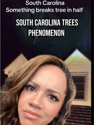 What’s breaking the South Carolina trees apart? In case of the possible ban, please follow my YouTube! I’ll also be sharing more in-depth videos. #paranormal #spookytok #weird #wtf #skinwalker #creepy #haunted #southcarolinatree #debate #brookesobasic 