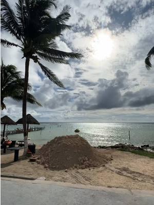 segwaying through Costa Maya—views straight out of a movie! 😍 This was an excursion with our Carnival Cruiseline  #carnivalcruise #excursion #costamaya #mexico #CapCut 