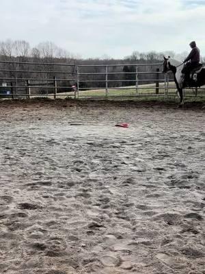 Sage making good progress this week! Proud of her! #traininghorses #horsetrainer #loping #roundpen #painthorse #kbhorsejourney #foryoupage #fyp 